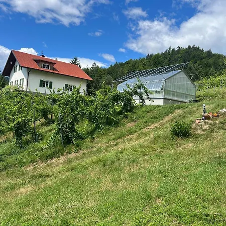 Weingut Kleinmonte Апартаменты