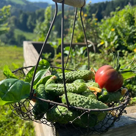 Weingut Kleinmonte Лойчах