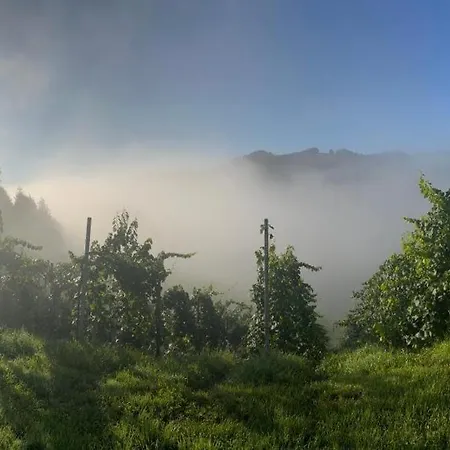 Weingut Kleinmonte Апартаменты Лойчах