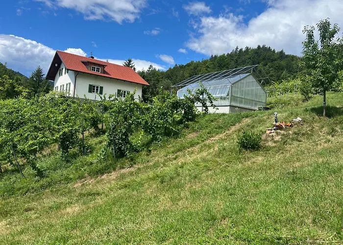 Weingut Kleinmonte 公寓 *